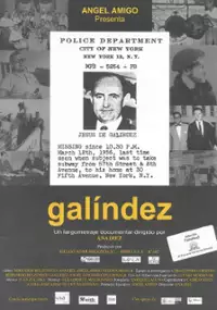 Plakat filmu Galíndez