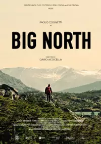 Plakat filmu Dzienniki północne