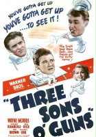 plakat filmu Three Sons o' Guns