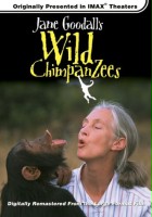 plakat filmu Jane Goodall, żyjące dziko szympansy