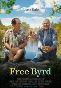 Plakat filmu Cudowna podróż Harry'ego Byrda