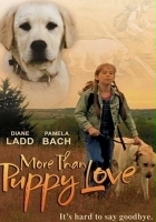 plakat filmu Mój przyjaciel pies