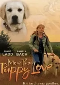Plakat filmu Mój przyjaciel pies