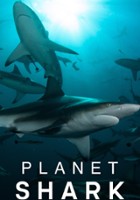 plakat filmu Planeta rekinów