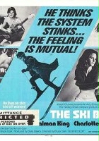 plakat filmu The Ski Bum