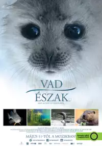 Plakat filmu Järven tarina