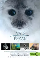 plakat filmuJärven tarina