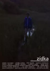 Plakat filmu Z&iacute;dka