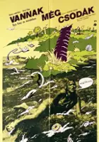 plakat filmu I Miracoli accadono ancora