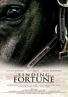 plakat filmu Finding Fortune