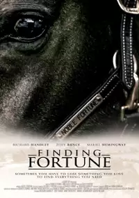 Plakat filmu Finding Fortune