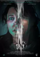 Steven Johnson / Salt