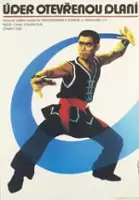 Huaxun Zhang / Wu Lin Zhi