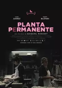 Plakat filmu Kafeteria