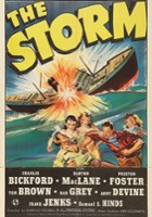 plakat filmu The Storm