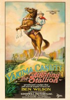 plakat filmu The Fighting Stallion