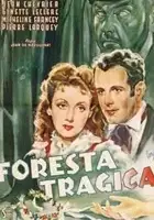 plakat filmu La grande marnière