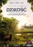 plakat filmu Dzikość