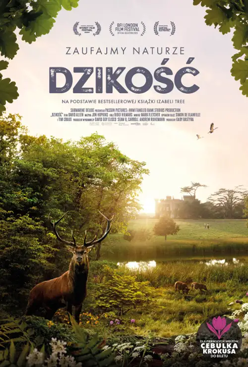 plakat filmu Dzikość