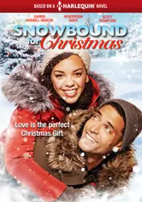Plakat filmu Snowbound for Christmas