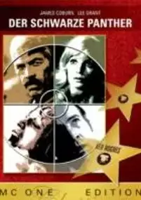 Plakat filmu Zabójczy projekt