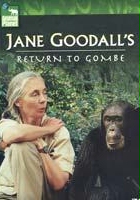 plakat filmu Jane Goodall's Return to Gombe