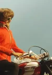 Plakat filmu Brick Novax's Diary