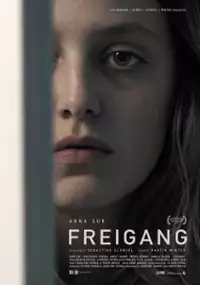 Plakat filmu Przepustka