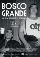 plakat filmu Bosco Grande