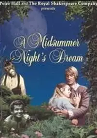 Plakat filmu Sen nocy letniej