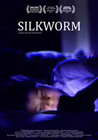 Plakat filmu Jedwabnik