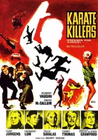 Plakat filmu Karate Killers