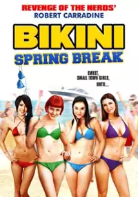 Plakat filmu Bikini Spring Break