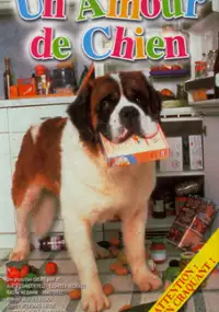 Plakat filmu Felix - Ein Freund fürs Leben