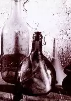 plakat filmu Homunkulus