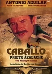 Plakat filmu Caballo prieto azabache