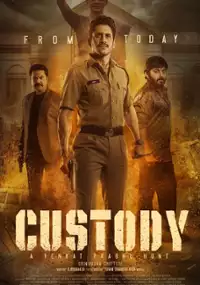 Plakat filmu Custody