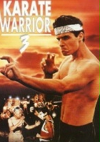 plakat filmu Wojownik karate 3
