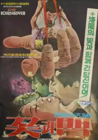 Plakat filmu Ggotgwa baem
