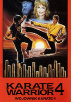 plakat filmu Wojownik karate 4