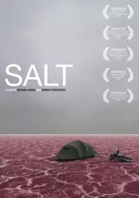Plakat filmu Salt