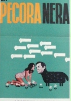 plakat filmu La Pecora nera