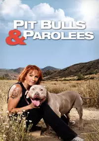 Plakat programu TV Resocjalizacja z pit bullem