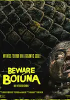 Beware Boi&uacute;na