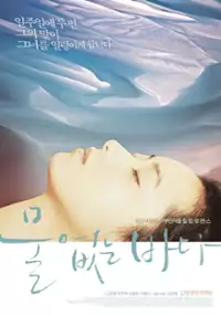 Plakat filmu Mool Eobs-neun Ba-da