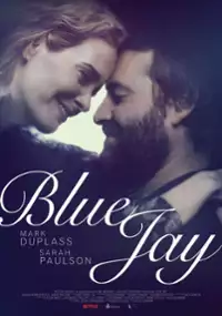 Plakat filmu Blue Jay