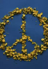 Plakat filmu Andananda