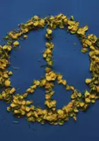 Tony Rubini / Andananda
