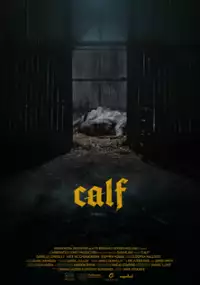 Plakat filmu Calf