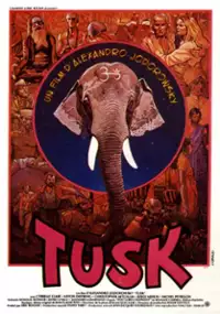 Plakat filmu Kieł